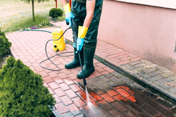 Best Window and Screen Pressure Cleaning in Alexander, AR