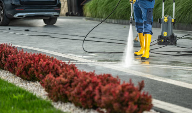 Best Vinyl Siding Pressure Washing in Alexander, AR